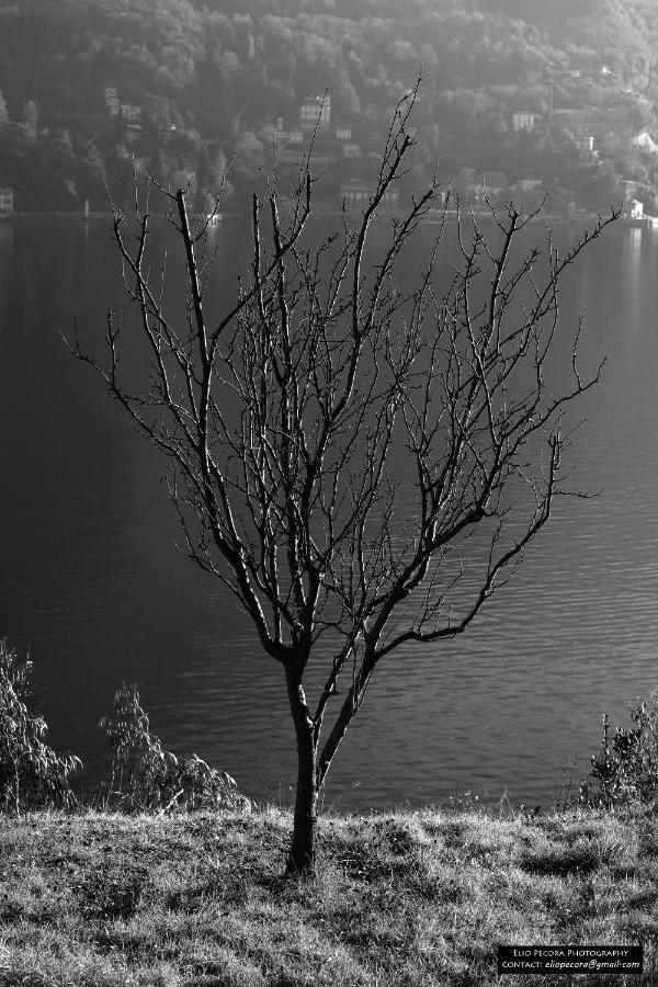 Appartamenti Monti Como Lake Brunate Zewnętrze zdjęcie